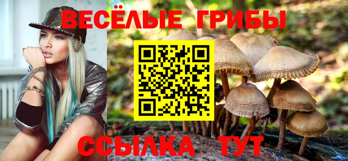 Псилоцибиновые грибы мухоморы Орехово-Зуево