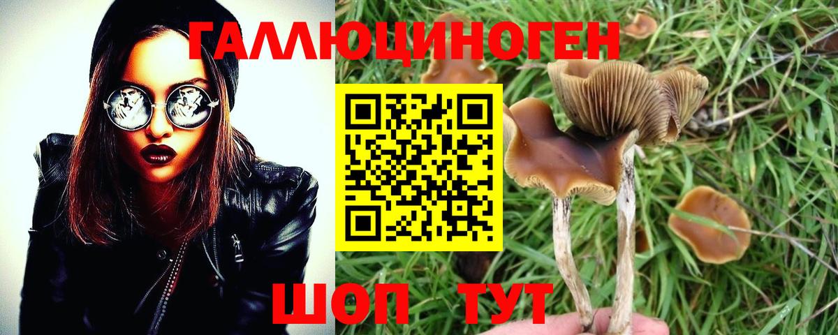 Галлюциногенные грибы прущие грибы  Вход с VPN  Орехово-Зуево  Псилоцибиновые грибы Psilocybine cubensis 